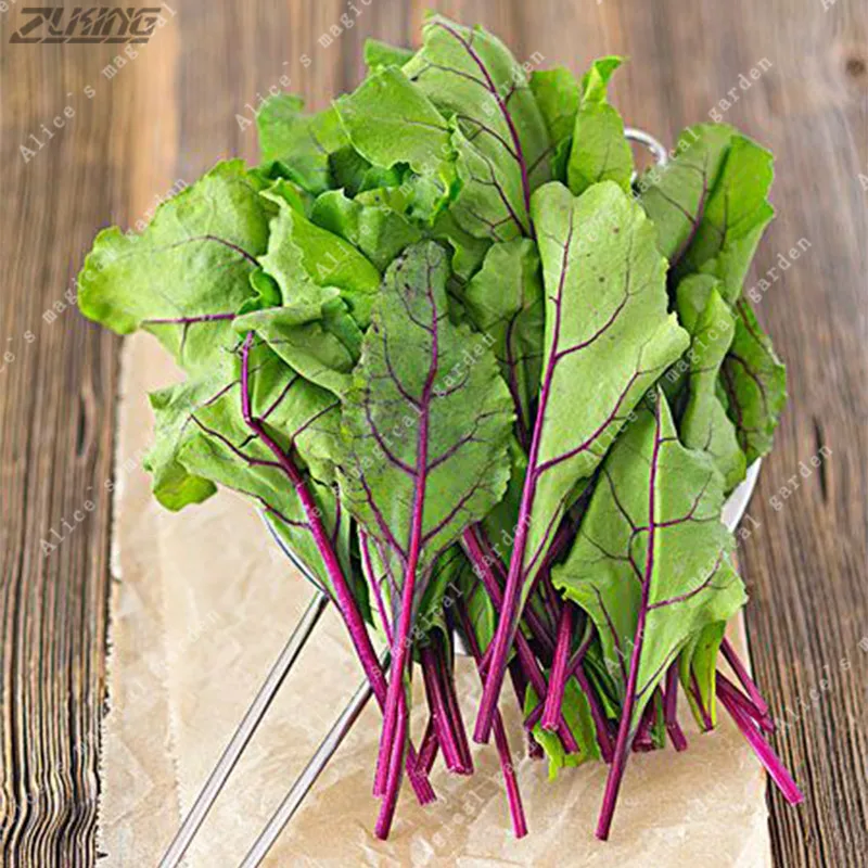 black dark beetroot