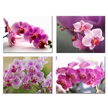 DIY, алмазная вышивка, орхидея, цветы, фото на заказ, 5D индивидуальная алмазная живопись, вышивка крестом, наборы, алмазная мозаика, 3d изображения