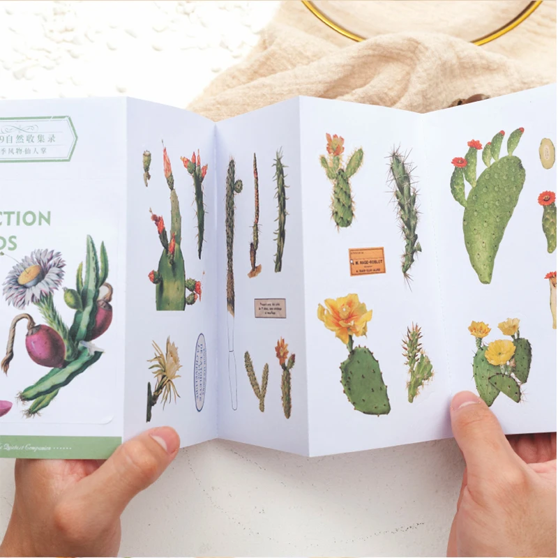 8 шт/лот красивые растения гриб бумага кактус стикер украшения наклейки DIY аблум дневник в стиле Скрапбукинг этикетка наклейка