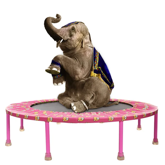 Cheap Upgrade fitness folding Trampoline for children adults 40 triangle springs design Quality elastic 36inch