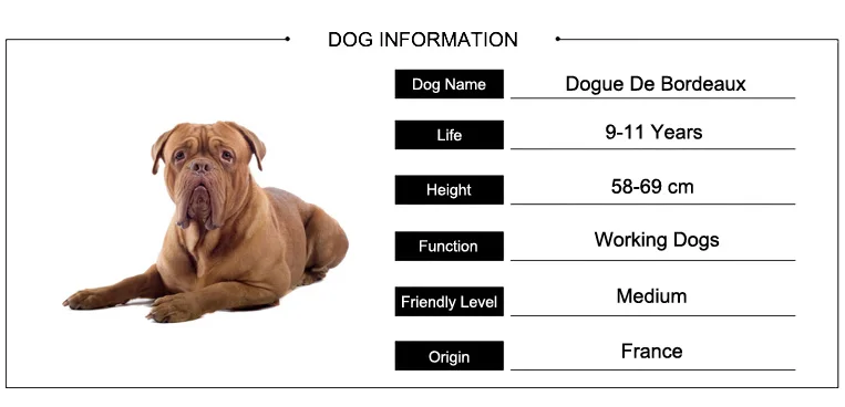 Женские металлические брелки Dogue De Bordeaux, ювелирные изделия, брелок в форме собаки из сплава