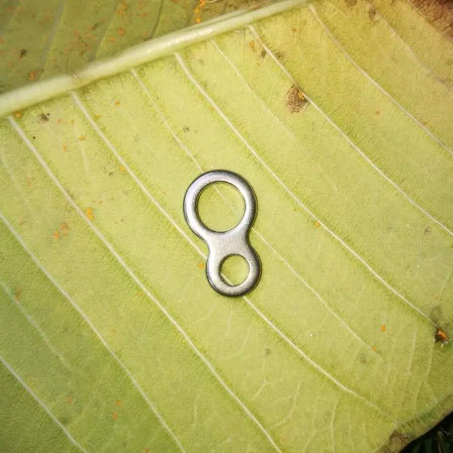 1 (1)