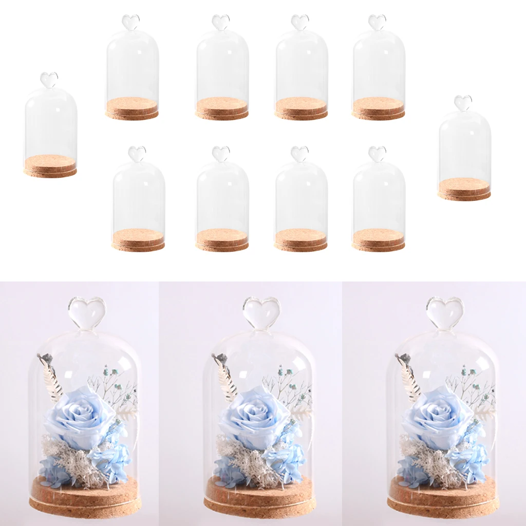 

8x Glass Landscape Terrarium Cover Vase Display Container Desk Decor Tray Cork