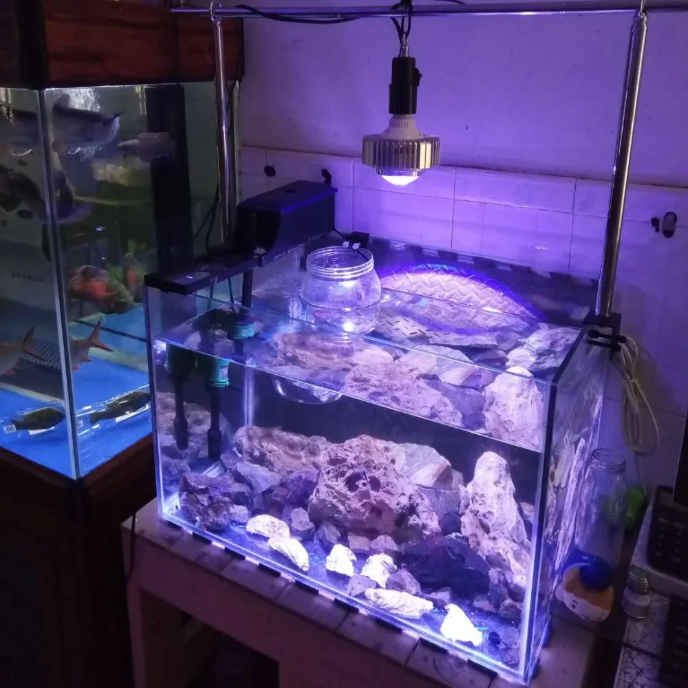 2 шт/лот подгоняемые цвета CREE светодиодный аквариум лампа для аквариума лампы риф освещение для кораллов для соленой воды морской SPS LPS освежитель рыбы