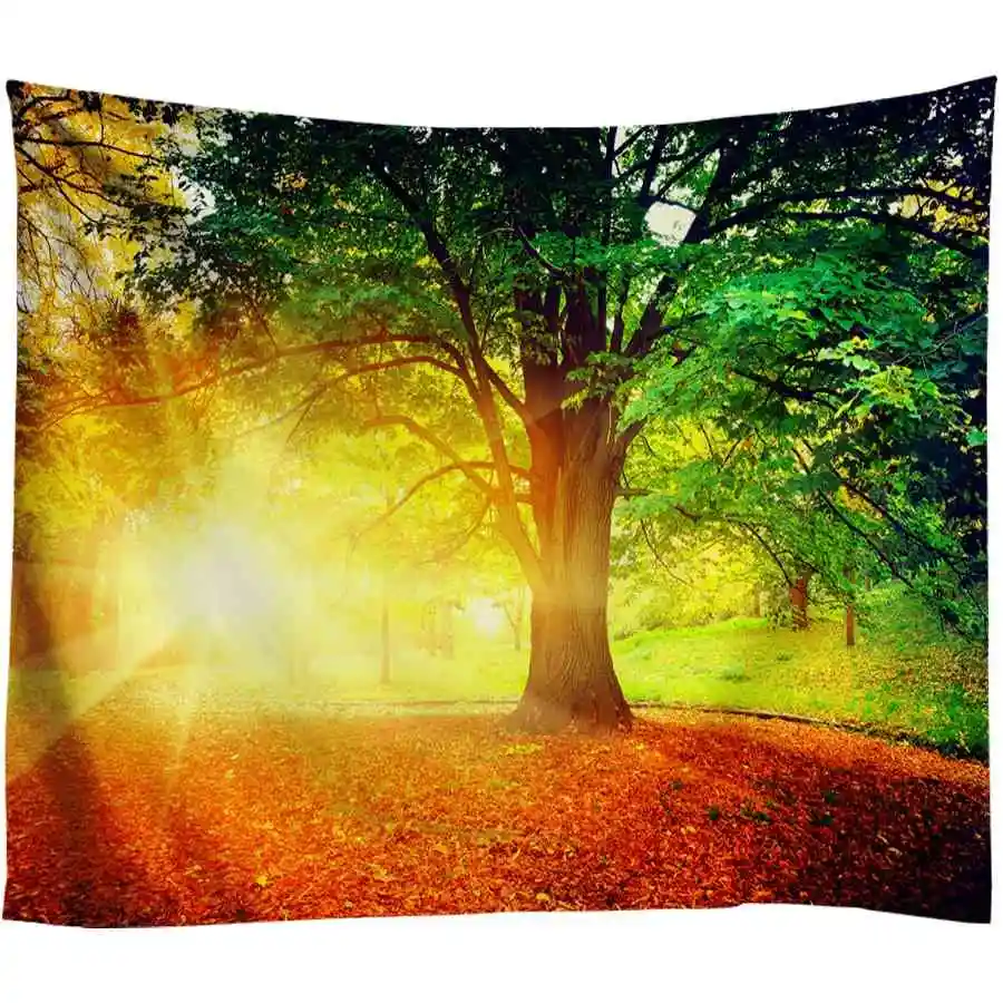 Clear River Wood Path Print Wall Tapestry Psychedelic Tree Hole Home Decor Wall Hanging for Living Room Bedroom Boho Tapestries - Color: SL019