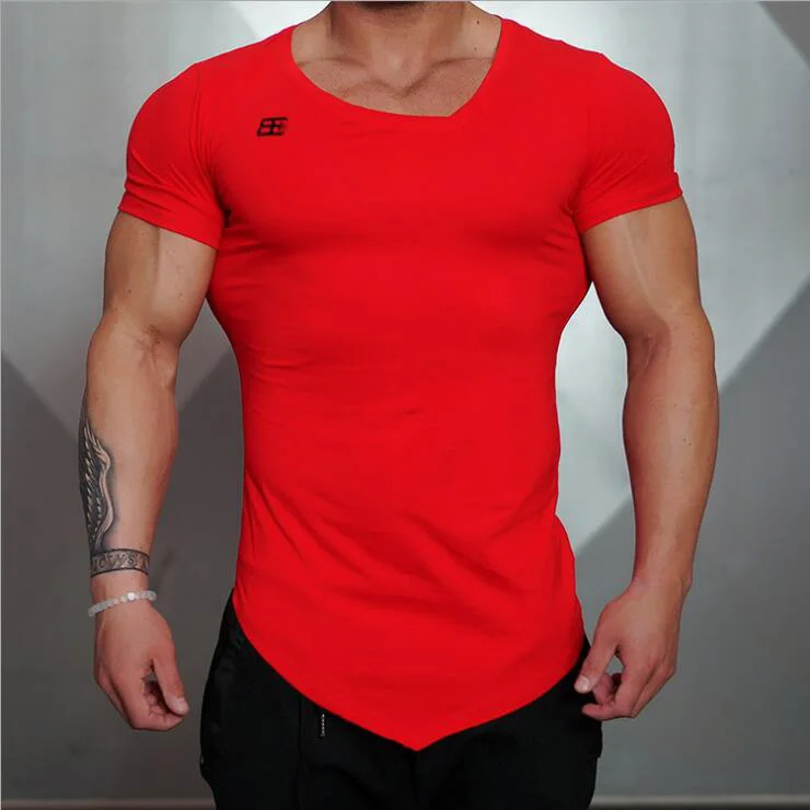 Download 2017 Summer Fashion Brand T-Shirt Mens Gyms Clothing V ...
