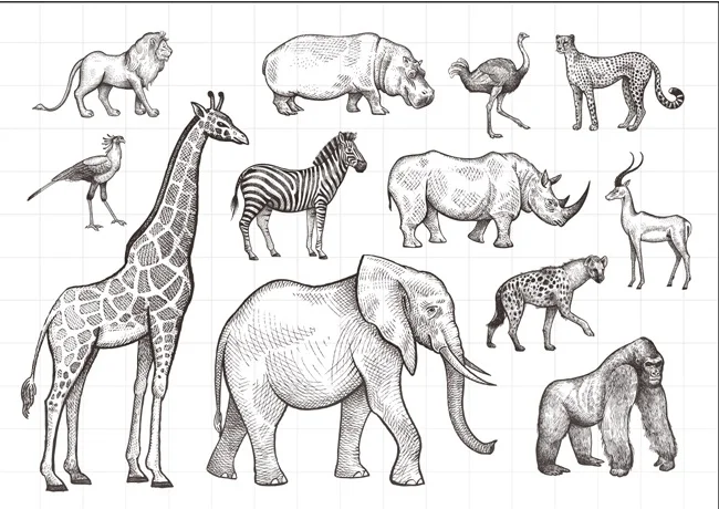 Animal World Clear Stamp for Scrapbooking DIY