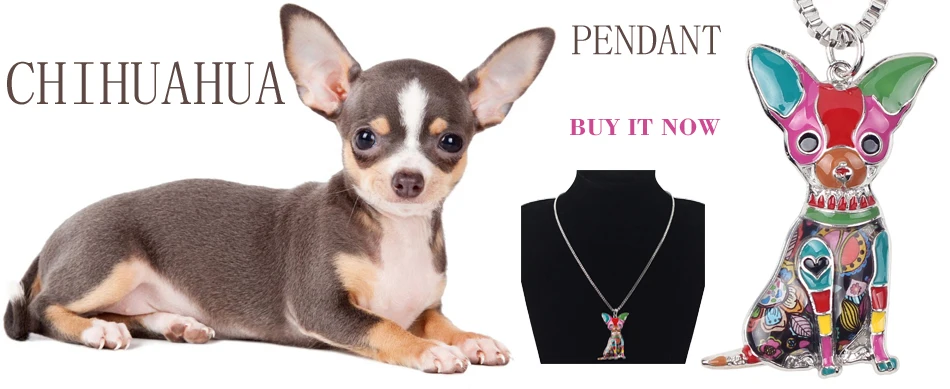 chihuahua necklace