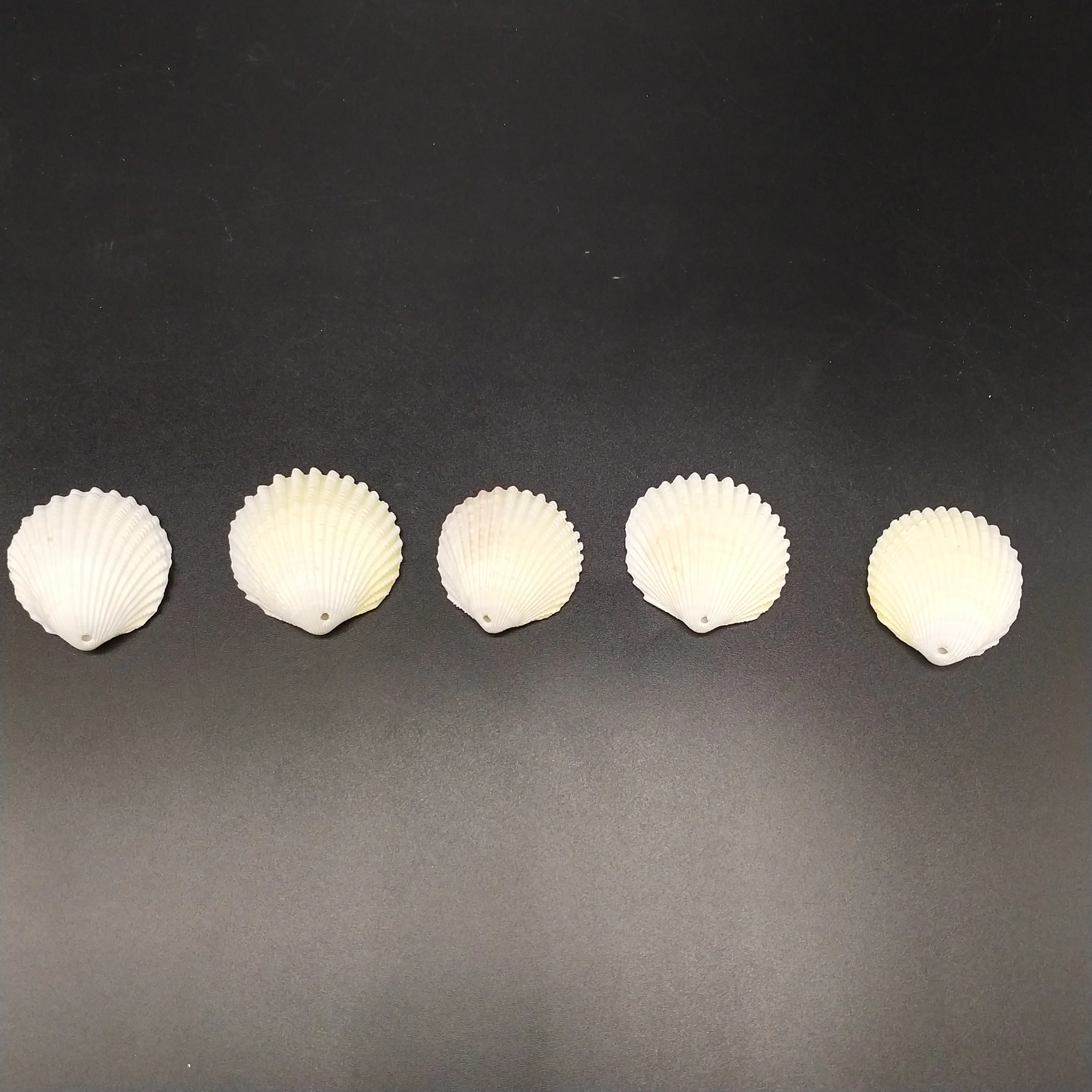 5 шт. бусины для бурения и пирсинга в морском стиле|Ракушки морские звезды| |