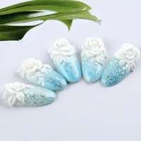 Rosalind Acrylic Powder Set Nail Kit Clear White Pink Carving Nail Art Gel For Extension Manicure Tools Set Acrylic Powder 2