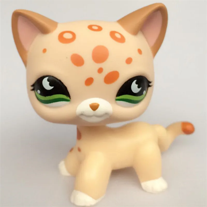 Dla Zwierząt Domowych Lps Prawdziwe Stojące Krótkie Włosy