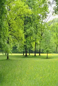 

TR Spring Green Forest Photo Backgrounds Green Screen Grass Trees Meadow Flowers Studio Photography Backdrops Custom Vinyl Cloth