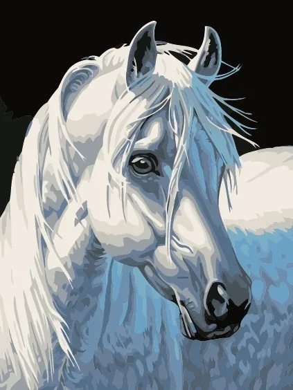 

Home decor Diy digital oil painting by numbers handpainted horse painting on canvas with frame-white horse