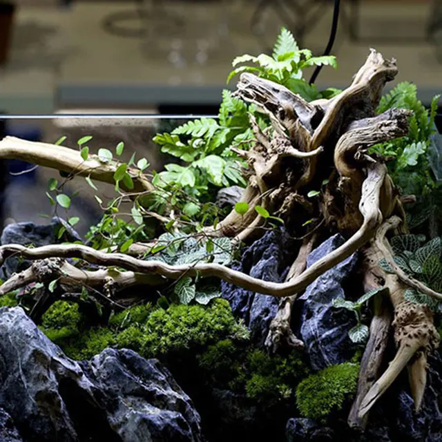 1pc decorative aquarium fish