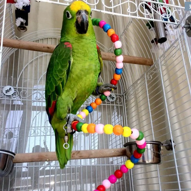 игрушки для ожерелового попугая. можно ли вешать попугаю. можно ли вешать попугаю. попугай с веревкой. можно ли вешать попугаю.