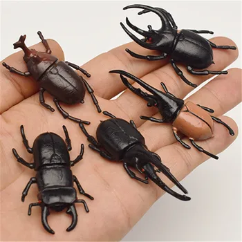 

2pcs 5.5cm simulation beetle Toys Special Lifelike Model Simulation insect Toy nursery teaching aids joke toys
