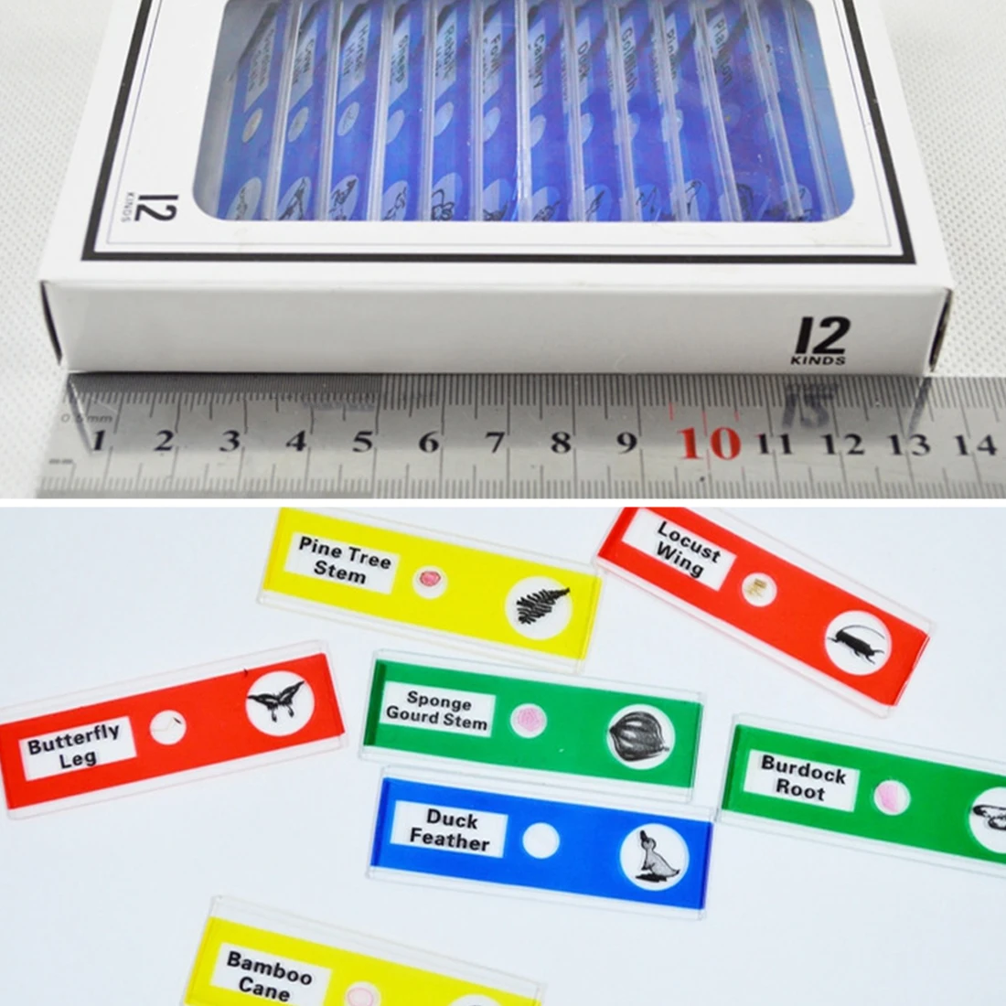 

Hot 48 PCS Prepared Plastic Microscope Slides Biological Specimen with 4 Boxes for Children Student Enlighten Education