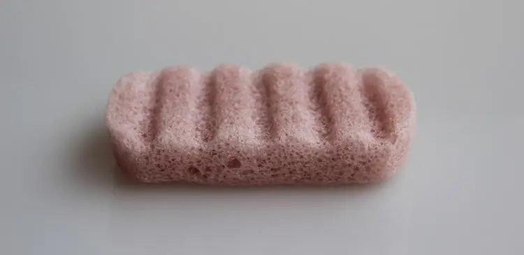 sponge9