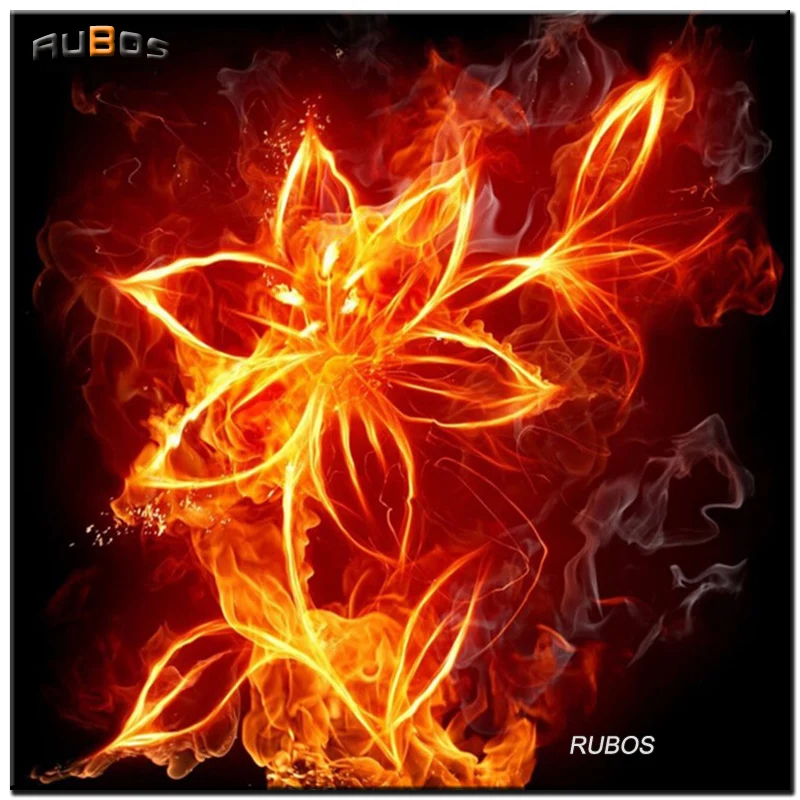 RUBOS fire lily flower DIY 5D full pattern rhinestone Diamond embroidery diamond painting cross stitch mosaic Mazayka room decor | Дом и сад