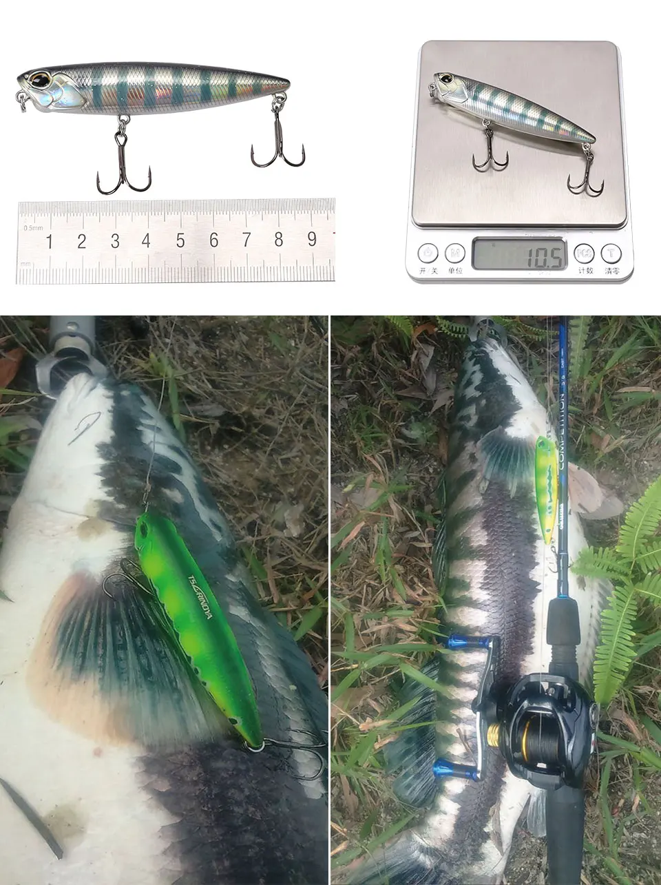 DW59_10