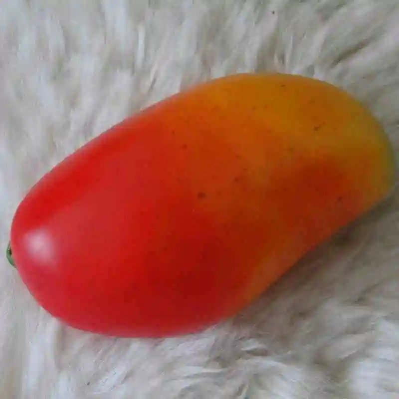 Отягчающая имитация фруктов раннее образование и мудрое украшение детская игрушка модель фрукты предметы мебели, съемочный реквизит - Цвет: Double color mango