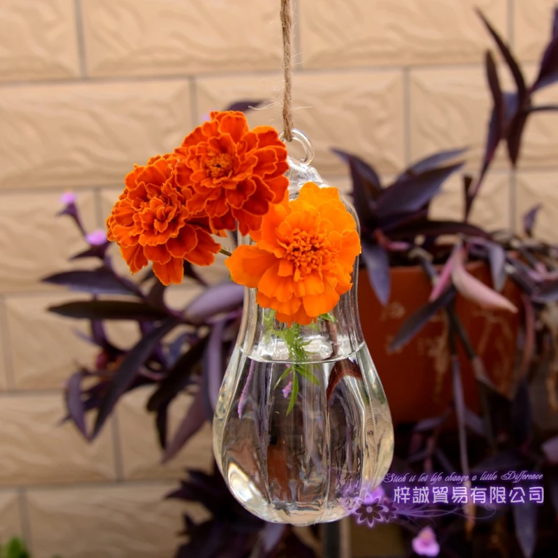 

Christmas Terrarium Glass Flower Vase Pumpkin Sphere 16*8.5 cm Hanging Vases Home Wedding Decoration Transparent