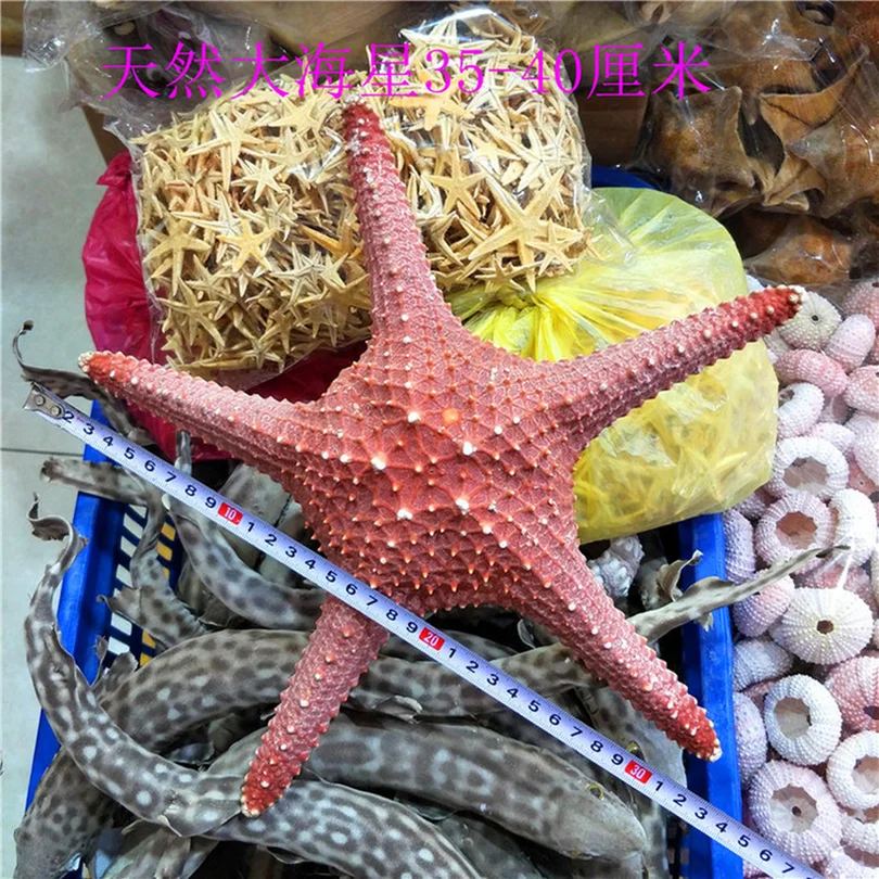 

1pcs Huge Starfish Craft Decoration Natural Sea Stars DIY Beach Cottage Wedding Decor Size 38cm Crafts Wedding Drop Shipping