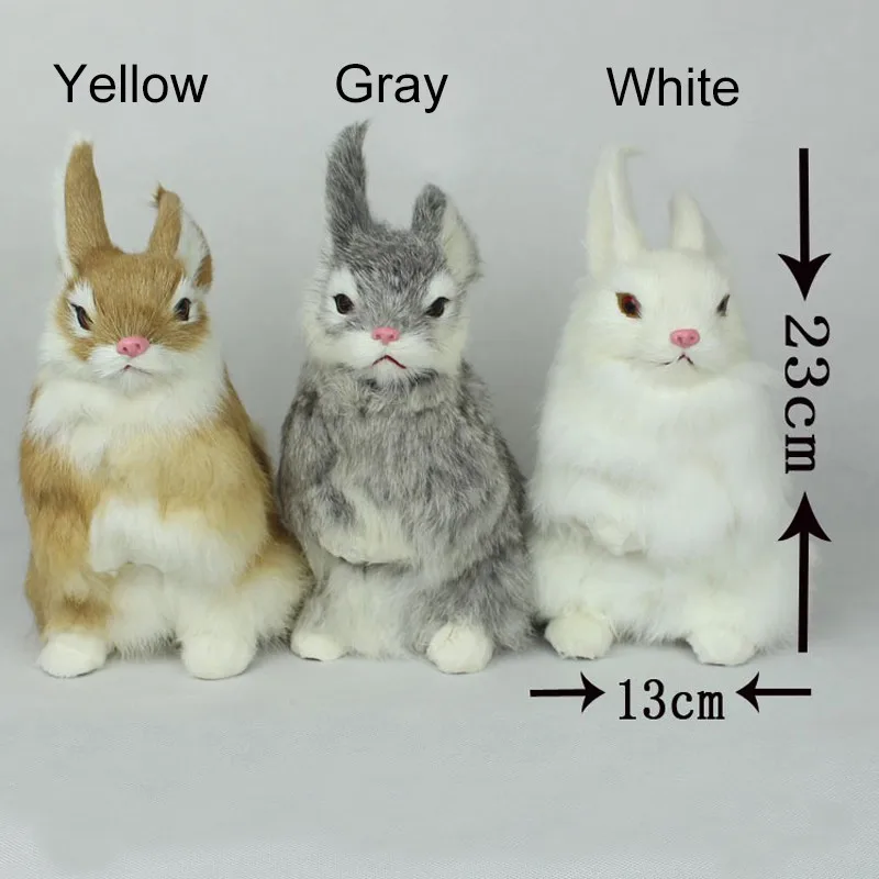rabbit-4