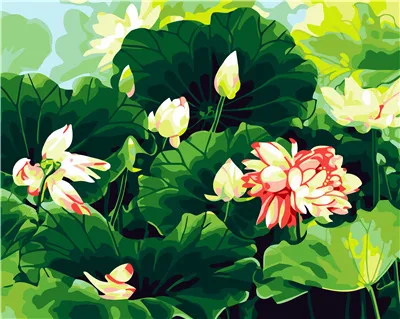  40x50_