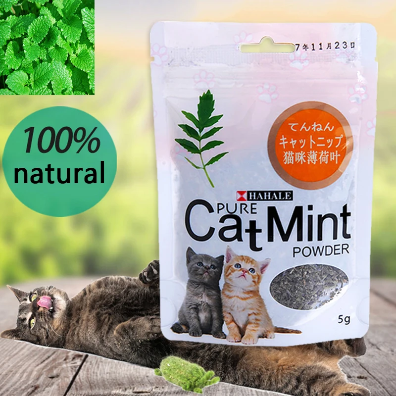 Sale Newest Natural Organic Premium Catnip 1Bag Catmint , Menthol Flavor , Cat Treats Funny Toys for Kittens Sale Newest Natural Organic Premium Catnip 1Bag Catmint , Menthol Flavor , Cat Treats Funny Toys for Kittens