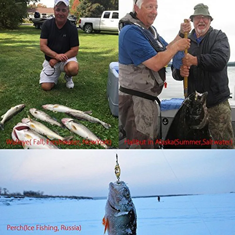 fishing led (6)