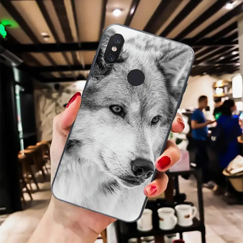angry Animal wolf Face Pattern