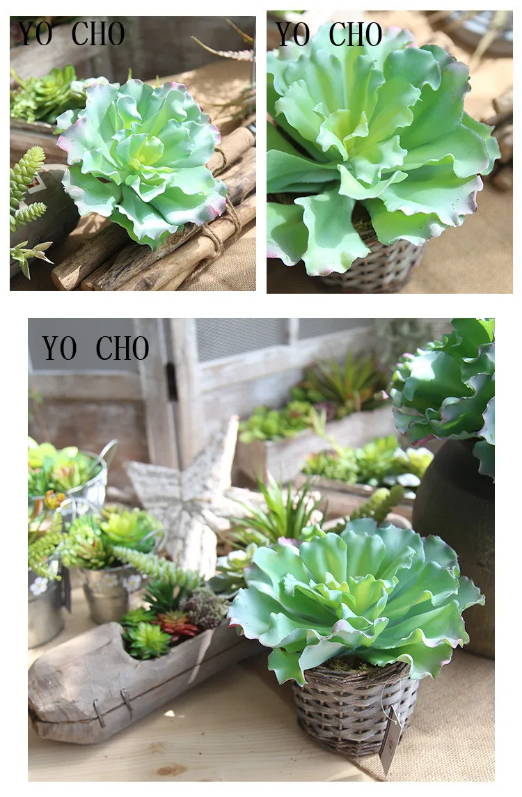 Simulation meaty plants 9