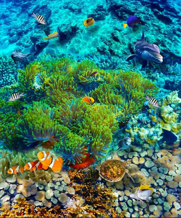 3d фрески для пола фотообои на заказ тропическая тарелка ПВХ водонепроницаемый