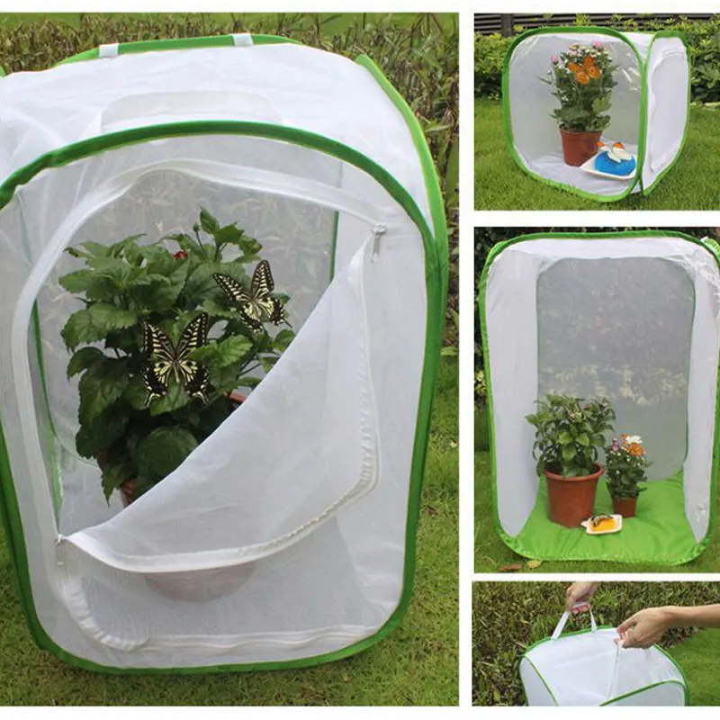 

Novel Foldable Insect Habitat Cage Seedling Plant Light Transmission Net Tent Greenhouse Shipping