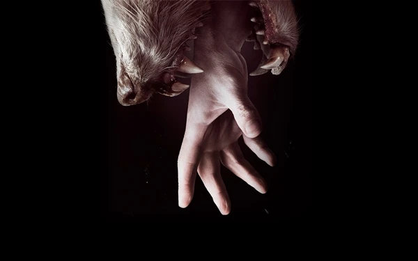 ヘムロックグローブ手歯ウルフブラック不気味映画ホラー4サイズホーム装飾キャンバスポスター印刷 Poster Print Canvas Posterhemlock Grove Aliexpress