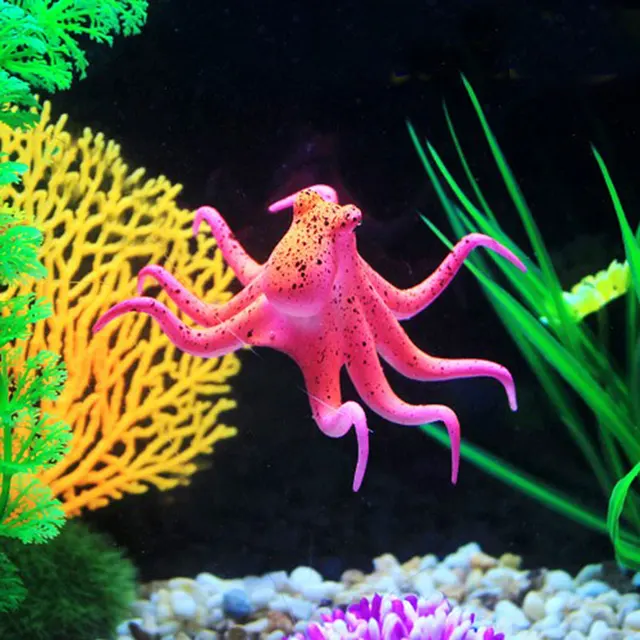 Personalized Aquarium Decorations Personalized Aquarium Decorations