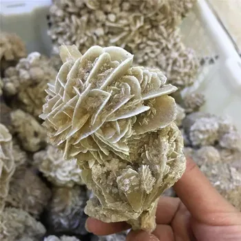 

Desert Rose Crystal Gypsum Sand Roses natural Mineral Specimen