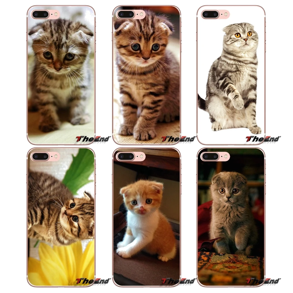 

For iPhone X 4 4S 5 5S 5C SE 6 6S 7 8 Plus Samsung Galaxy J1 J3 J5 J7 A3 A5 2016 2017 Scottish fold cat Felis catus Soft Case