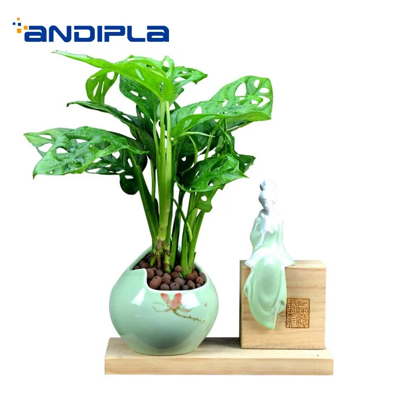 

Creative Ceramic Vase with Wood Base Beauty Kit / Bonsai Flower Plant Pot Office Table Decoration Crafts Potted Birthday Gifts