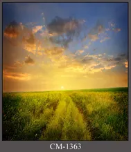Sun setting backgrounds grass photography backdrops for photo studio photographic background camera fotografia
