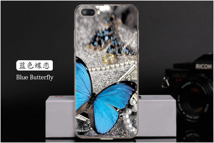  Blue Butterfly