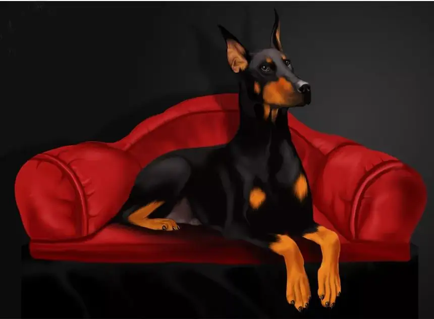 5D алмазная вышивка крестиком, Doberman Pinscher, DIY Алмазная вышивка, полная квадратная 3D Алмазная мозаика, стразы, Новое поступление - Цвет: 10