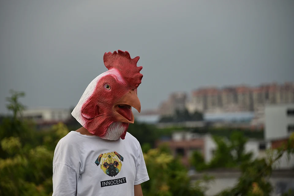 DSC_0898