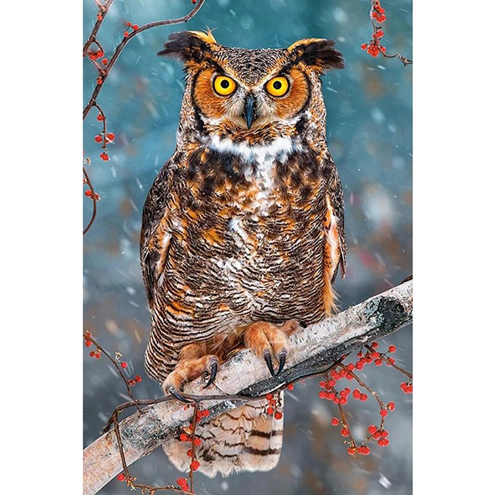 

Full Square/round Diamond 5D DIY Diamond Painting An astonished Owl Embroidery Cross Stitch Rhinestone Mosaic Home Decor