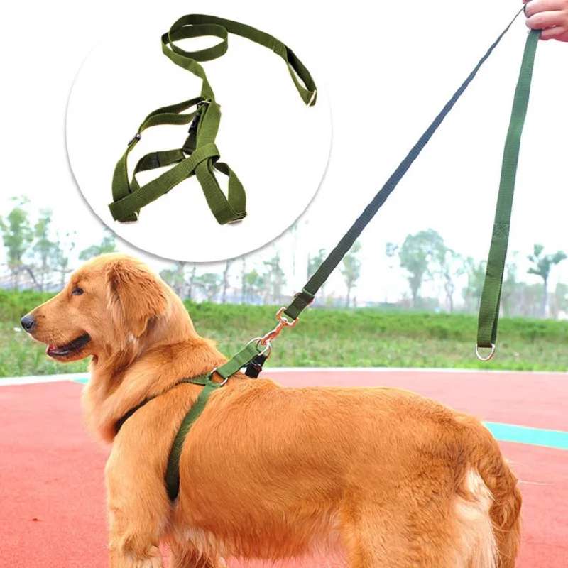 Army green nylon Medium large dog leash and harness set Durable big dog