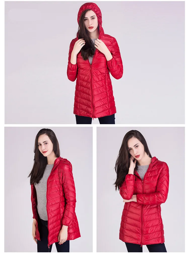 4562101334_105355552