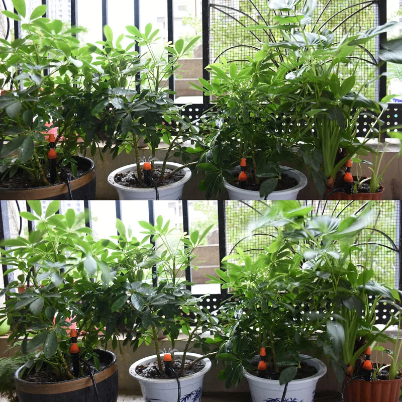 Теплица DIY автоматическая система ПОЛИВА МИКРО капельного орошения 2 сторонний