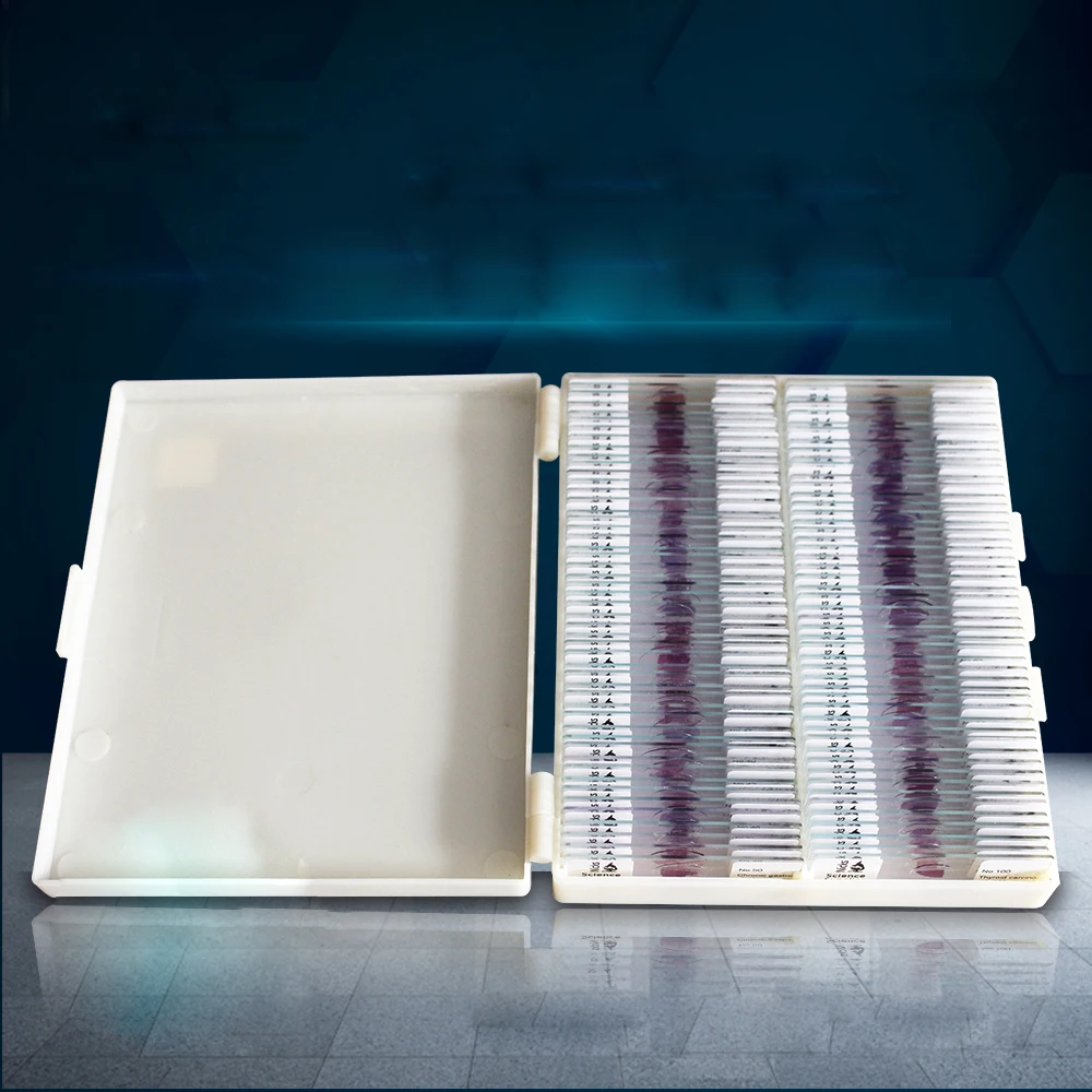 100 PCS Professional Prepared Human Pathological Slice Microscope Slides for Medical University