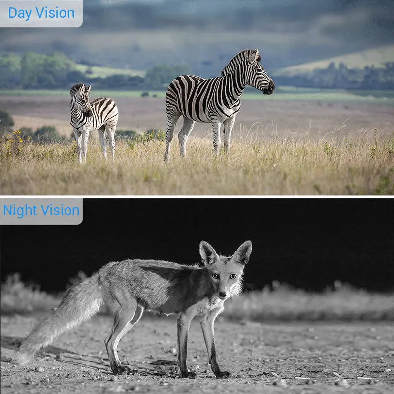 PDDHKK 1080P HD Trail камера для охоты на диких животных угол 120 градусов 0,5 с триггер время охоты камера с ИК ночного видения IP56